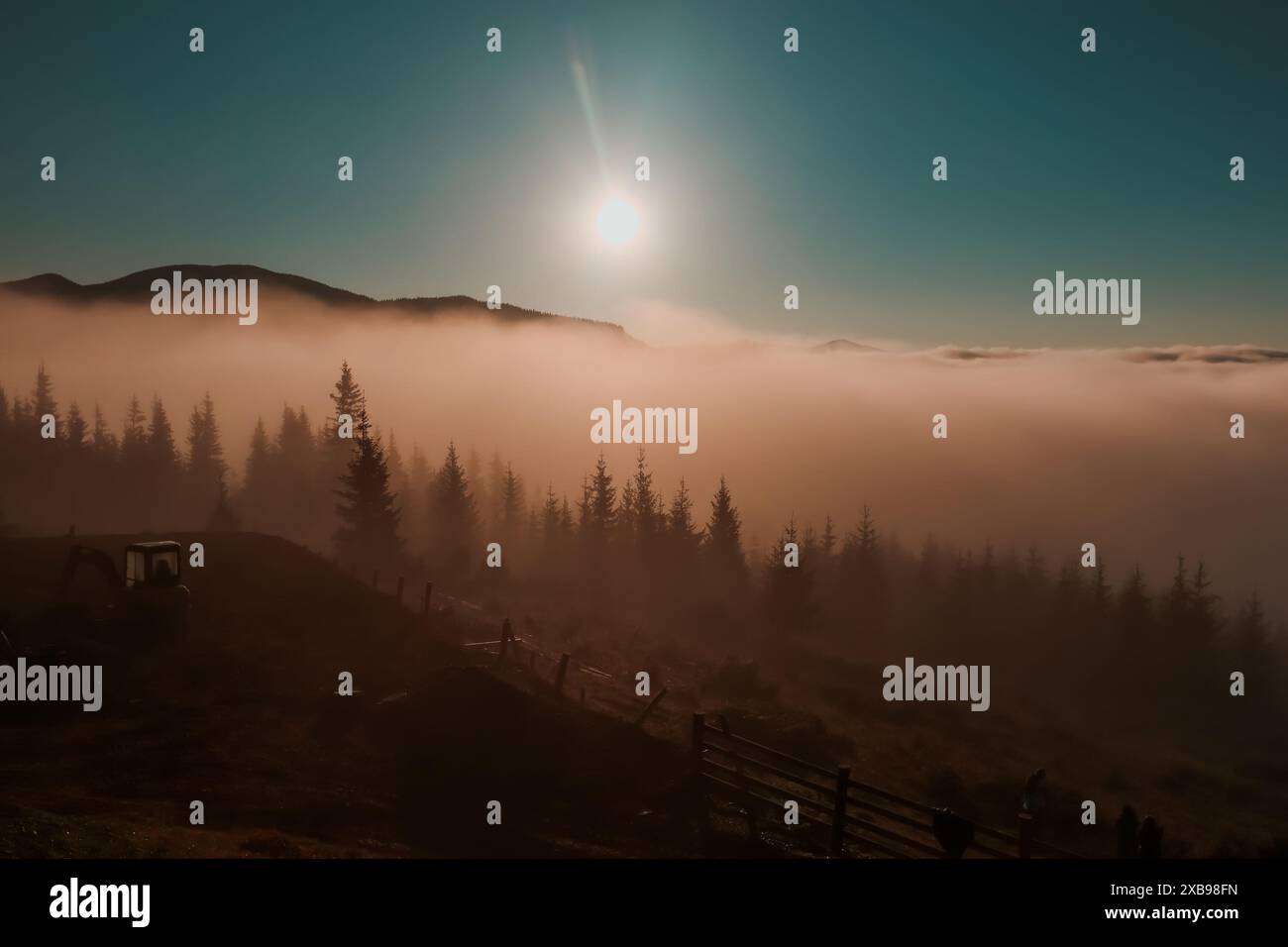 Morning golden light peeking hi-res stock photography and images - Alamy