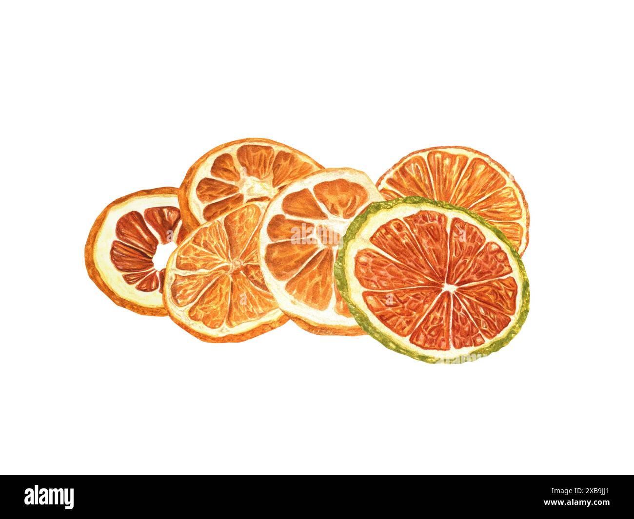 Dried Orange slices. Fruit citrus piece heap. Watercolor illustration. Mulled wine or alcohol free drinks. For package of cosmetic or food. Stock Photo