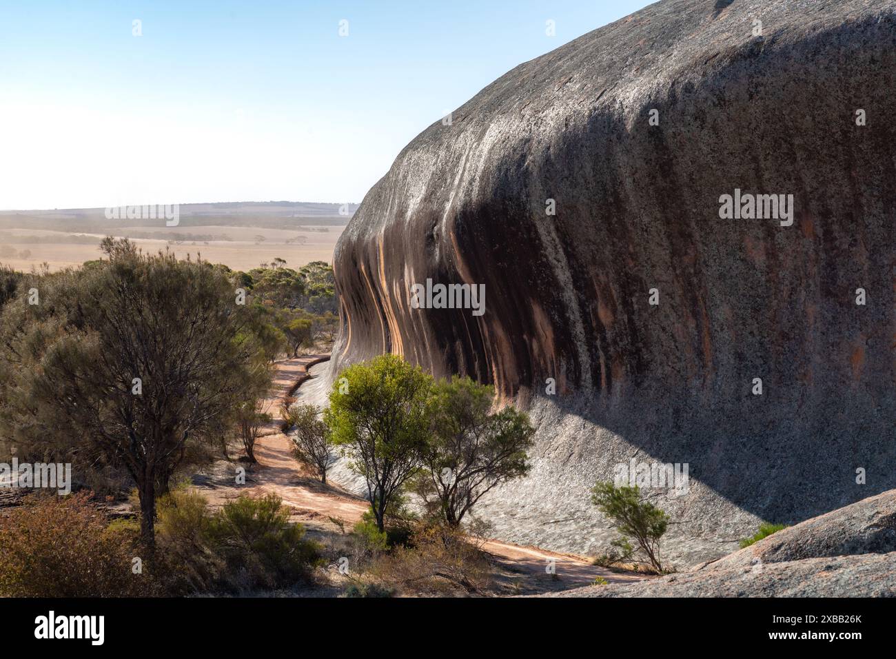 The Pildappa Rock, a natural rock formation in South Australia, with lush green vegetation in the foreground under a clear blue sky Stock Photo