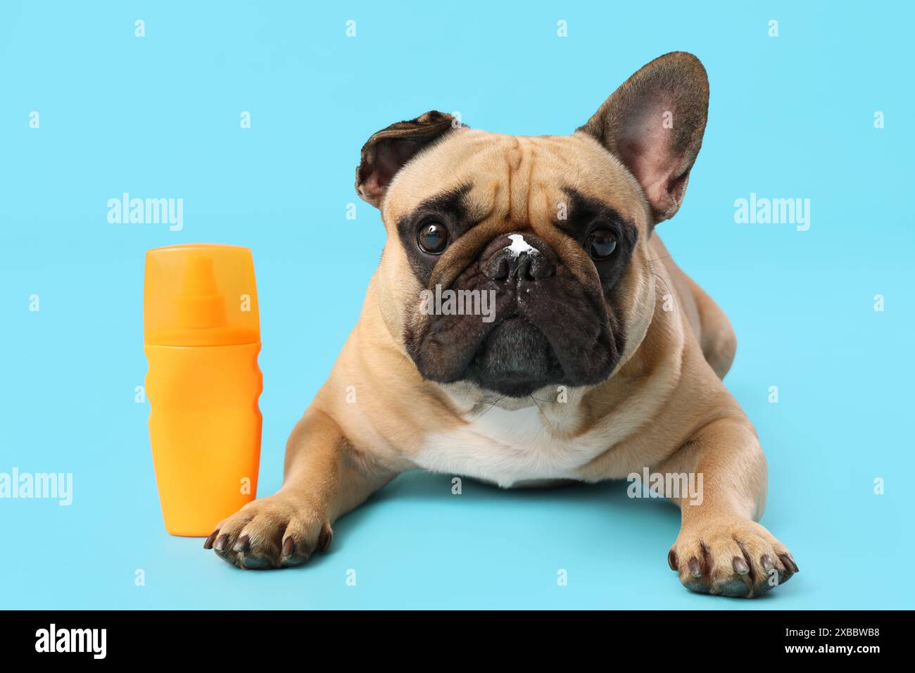 Bulldog sunscreen 2025