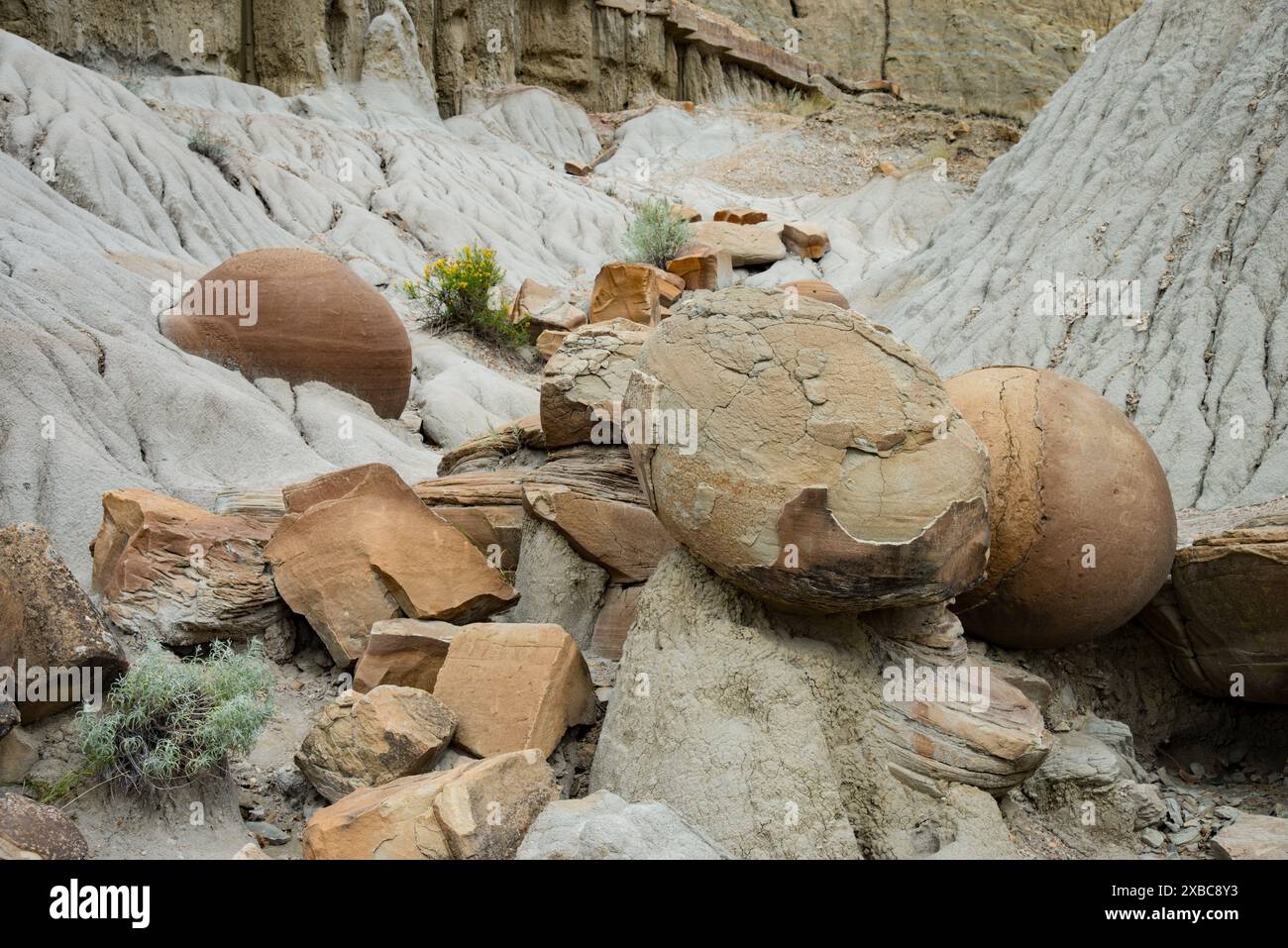 Cannonball concretions, sandstone caprocks, bentonite clay at