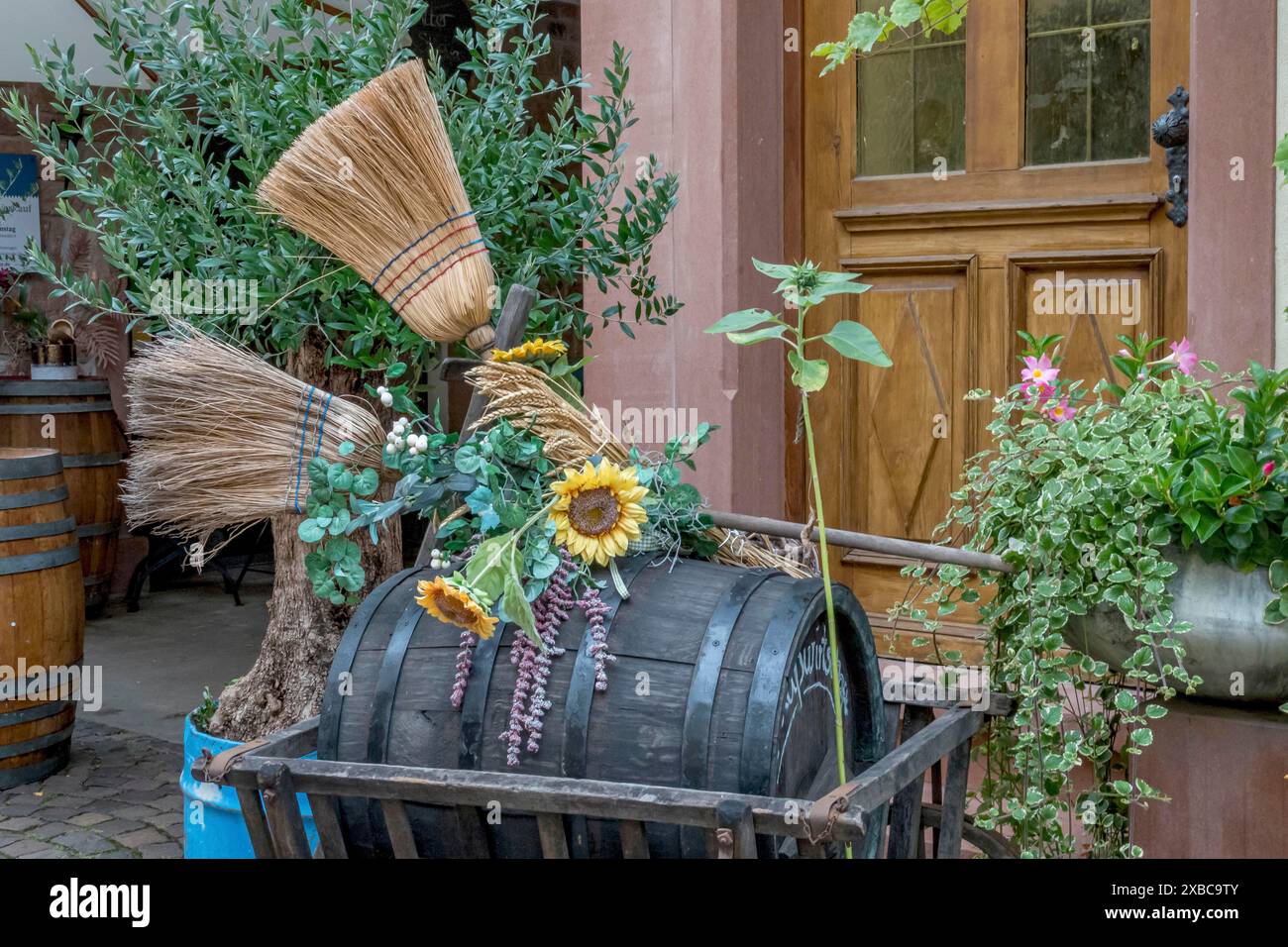 Ostrich management hires stock photography and images Alamy