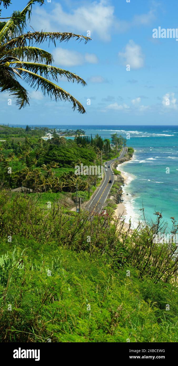 Scenic coastal road view with lush greenery and turquoise ocean under a ...