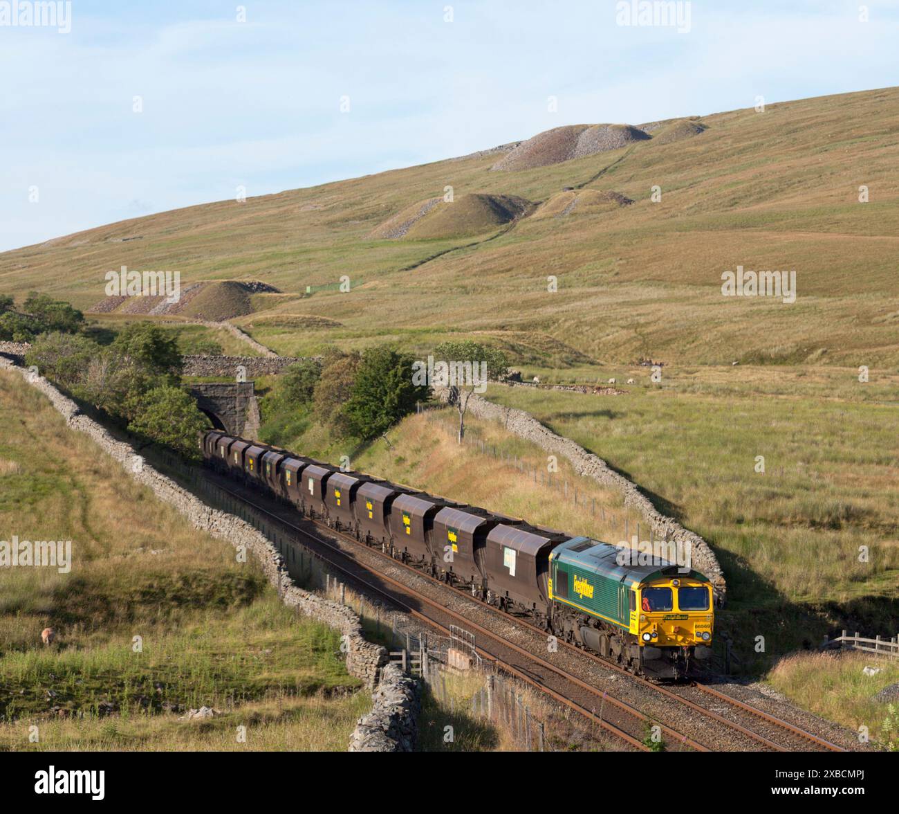 Freightliner class 66 locomotive 66569 passing Blea Moor (north of ...