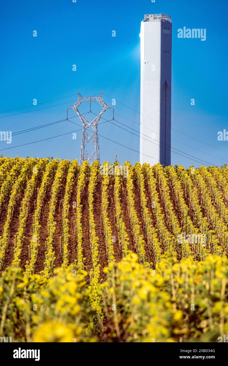 Solar thermal power plants hi-res stock photography and images - Alamy
