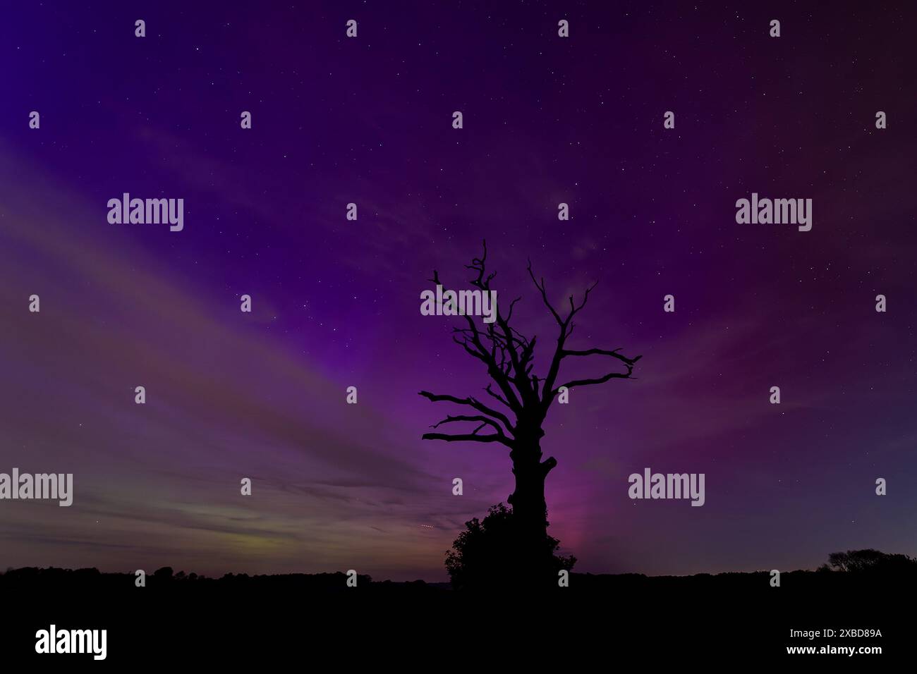 HERTFORDSHIRE, ENGLAND The Northern Lights or Aurora Borealis are