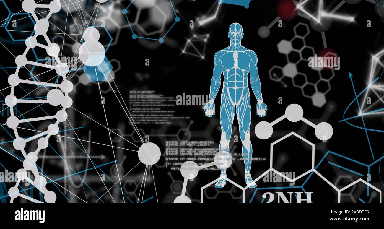 Scientific illustration human body hi-res stock photography and images ...
