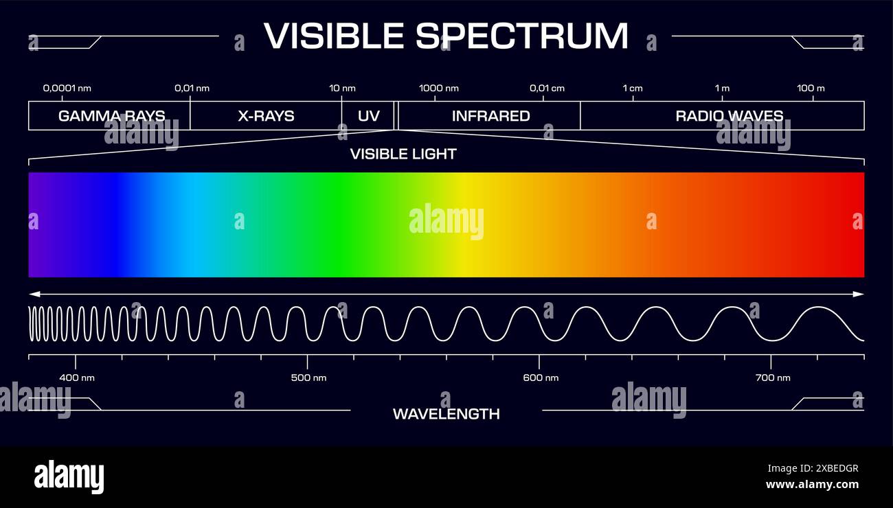 Visible spectrum light, Vector diagram, showing the range of ...