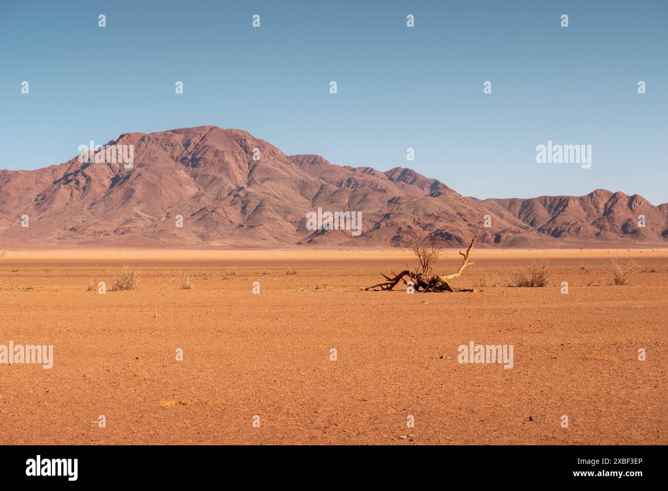 Driest desert in the world hi-res stock photography and images - Alamy