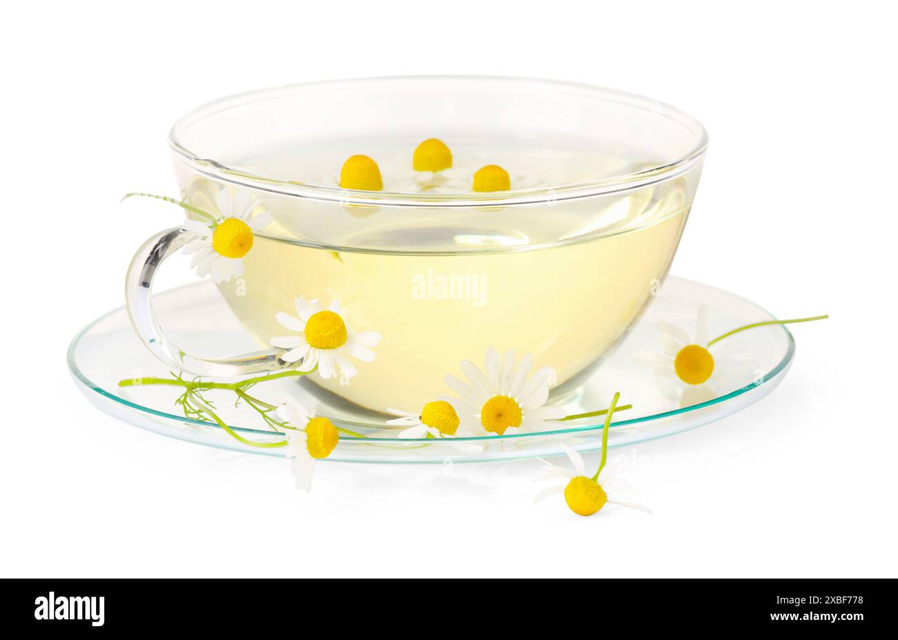 Aromatic herbal tea in glass cup with chamomile flowers isolated on ...