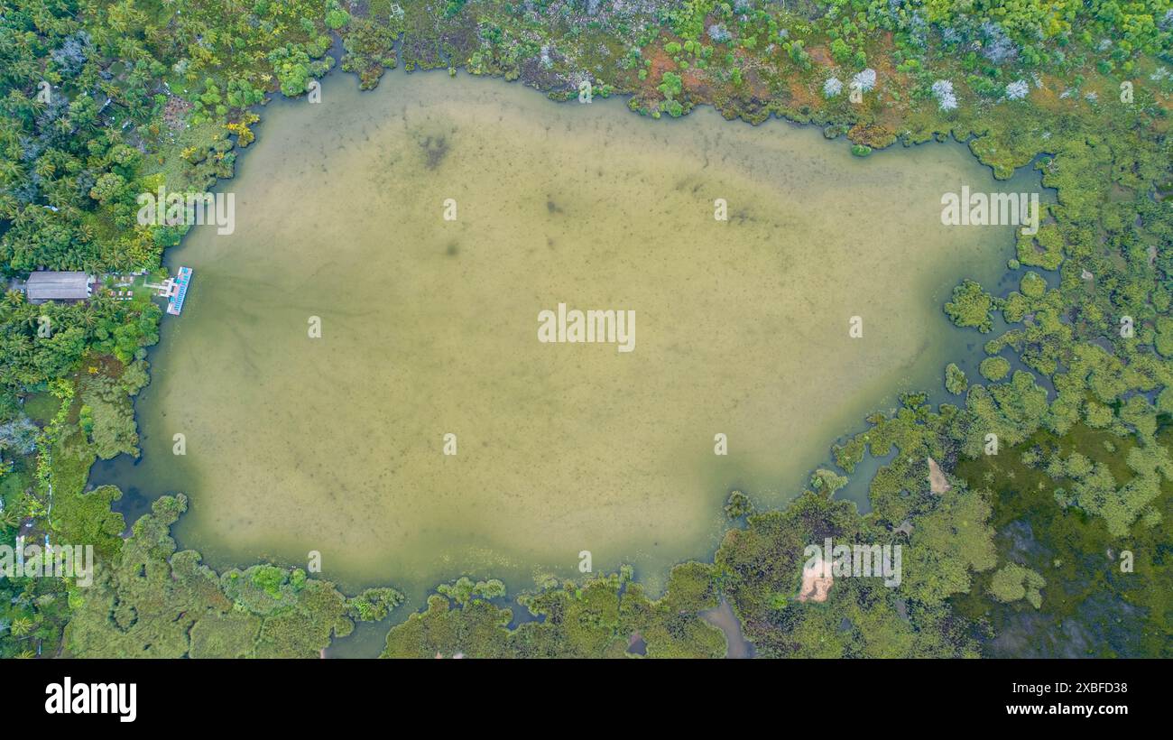 An aerial view of a lush green forest surrounding a calm lake with a ...
