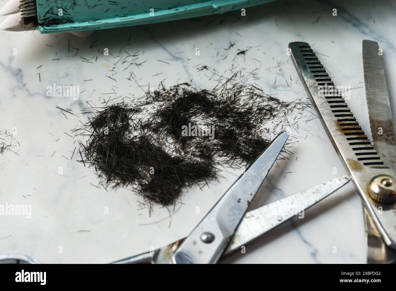 scissors, thinning scissors and a comb are on a table with a pile of hair. The scene suggests that someone has recently cut their hair Stock Photo