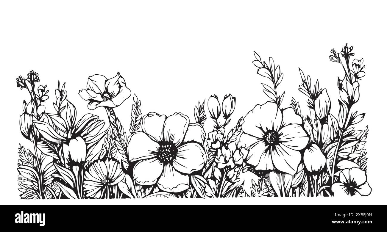 Wild flower field border hand drawn sketch in doodle style illustration ...