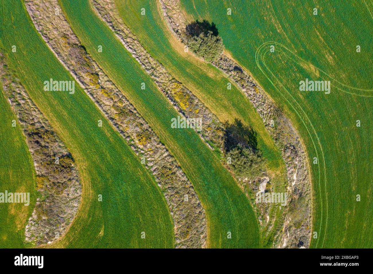 Aerial view of green fields near Serrateix in spring (Berguedà, Barcelona, Catalonia, Spain) ESP: Vista aérea de campos verdes cerca de Serrateix Stock Photo