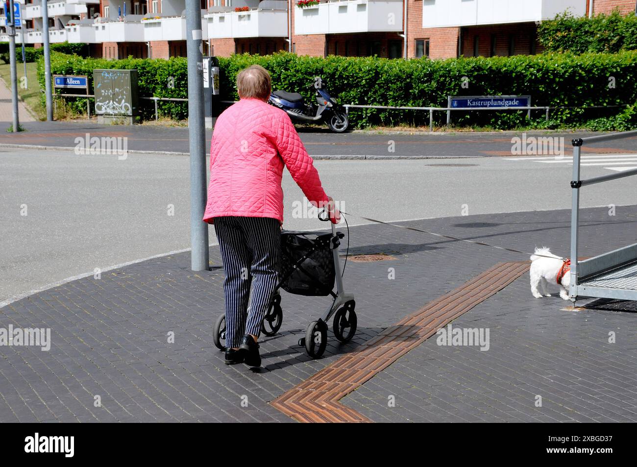 Copenhagen/ Denmark/12 JUNE 2024/ Senior citizen walks her pets in Kastrup Copenhagen. Photo.Francis Joseph Dean/Dean Pictures Not for commercial use Stock Photo
