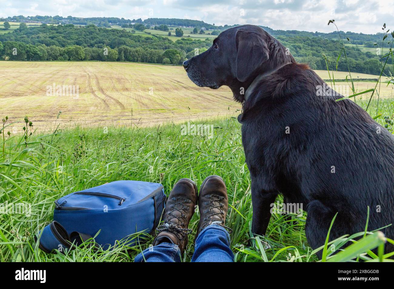 Labrador Owner A black labrador retriever sitting next to his owner at the edge of a ...