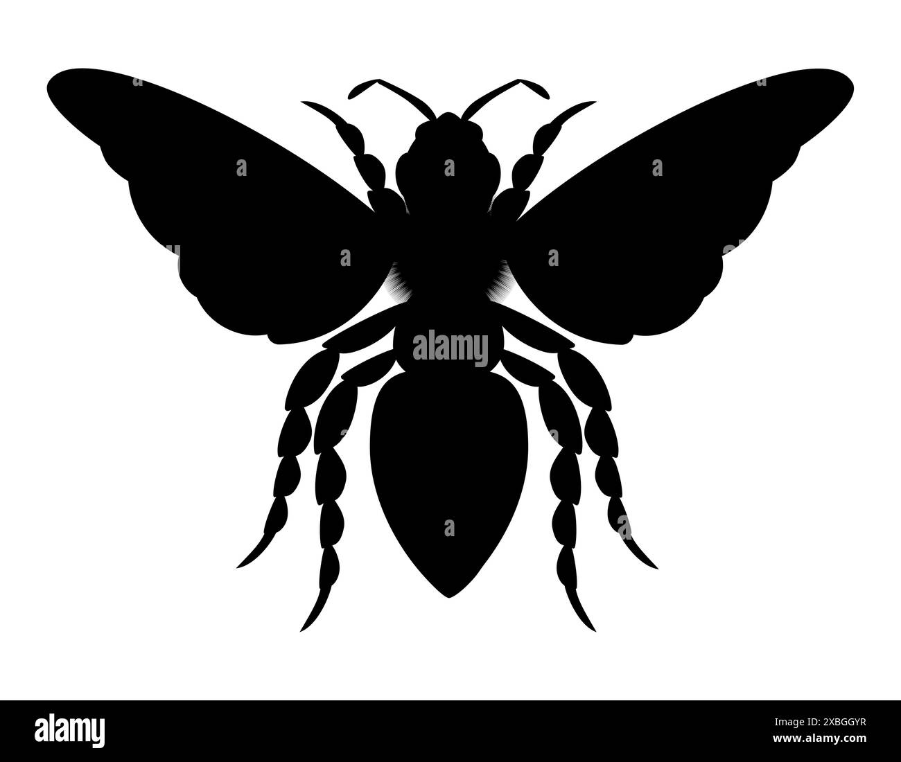 bee insects wildlife animals vector illustration isolated on white ...