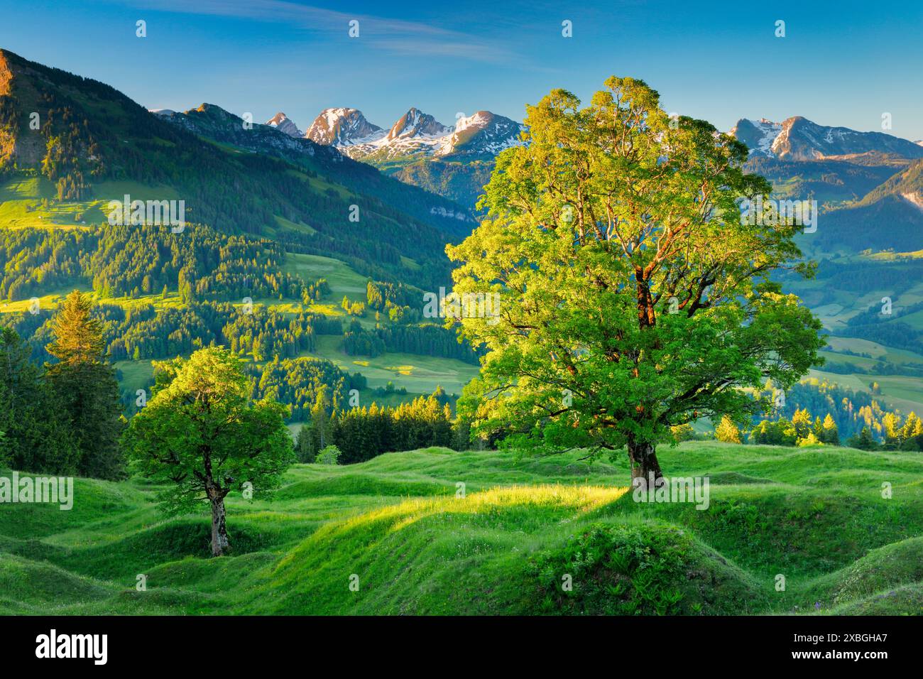 geography / travel, Switzerland, NO-EXCLUSIVE-USE FOR FOLDING-CARD-GREETING-CARD-POSTCARD-USE Stock Photo