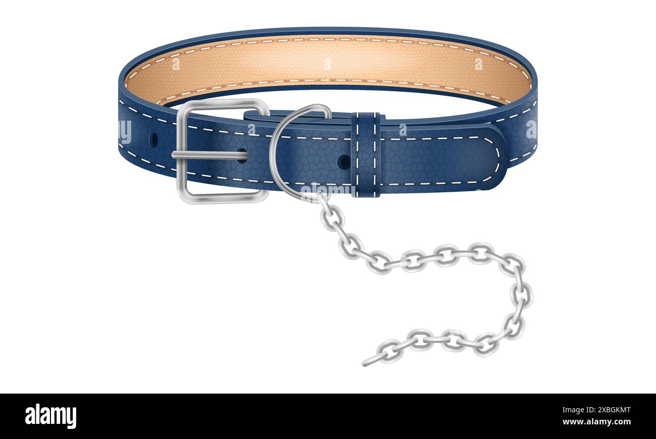 dog leather collar vector illustration isolated on white background Stock Vector