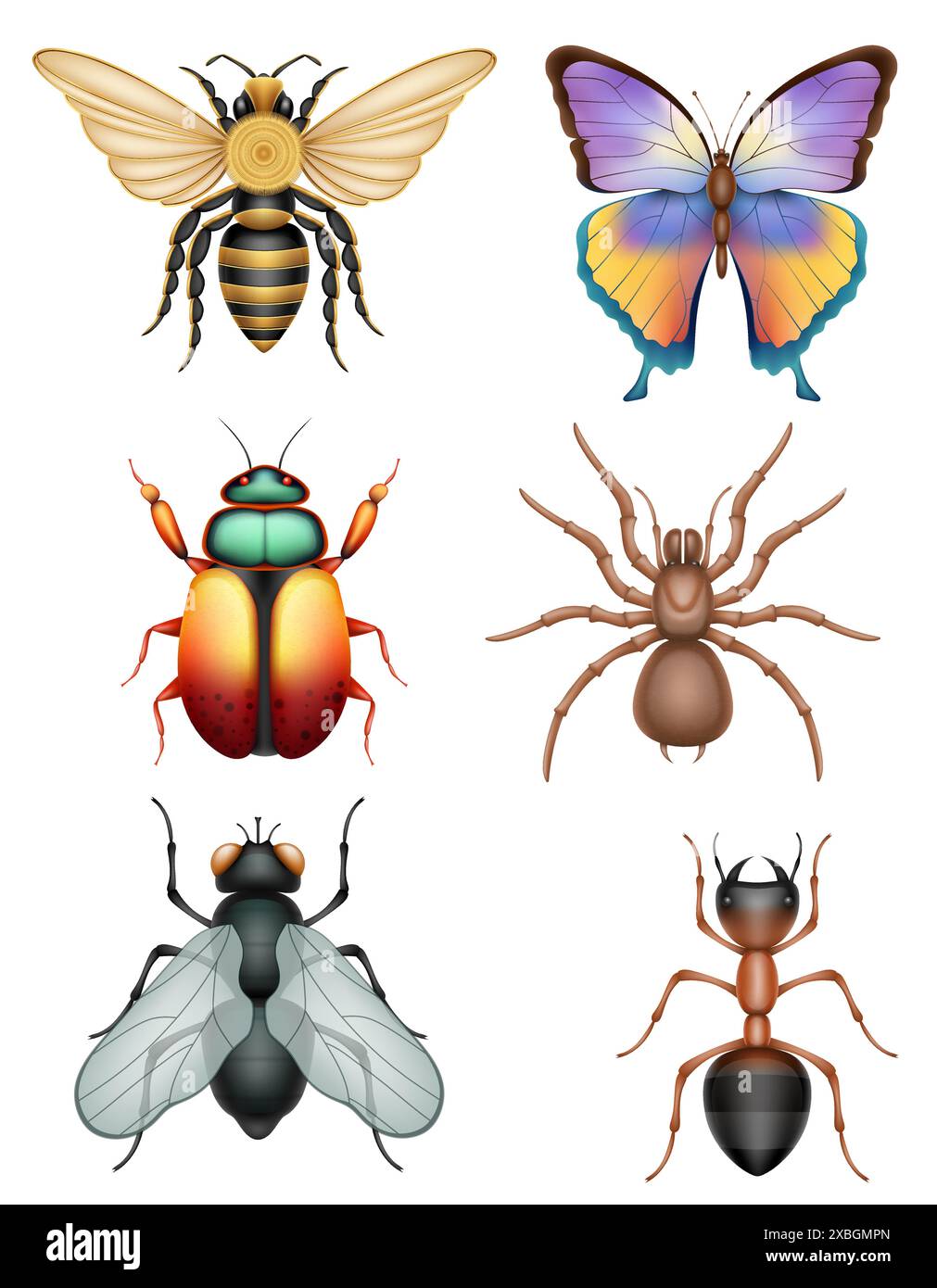 set insects wildlife animals vector illustration isolated on white ...
