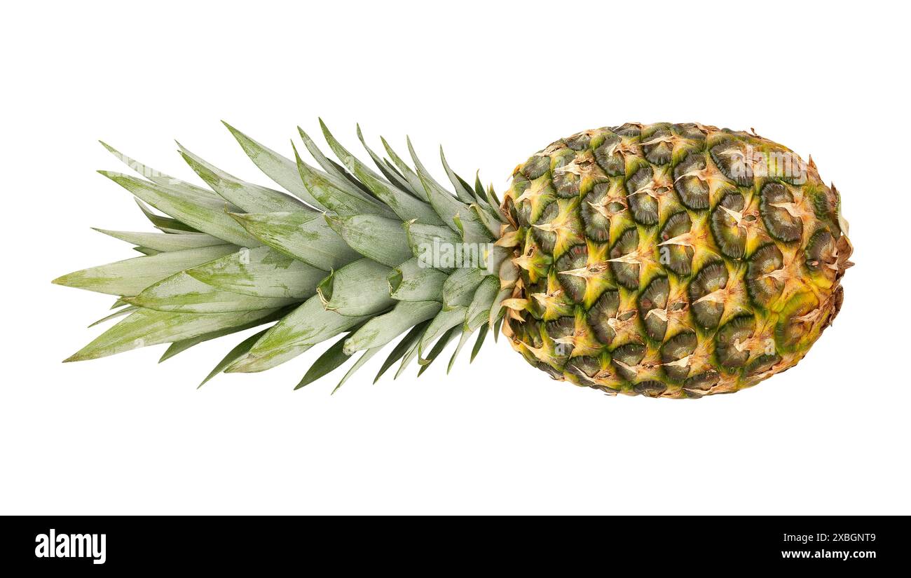 pineapple path isolated on white Stock Photo