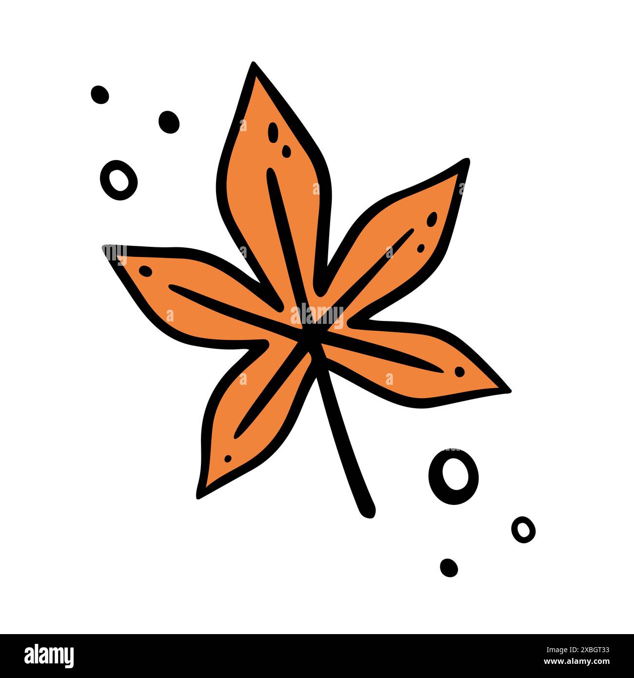 Hand drawn Maple Leaf, autumn leaf. Vector illustration in Doodle style ...