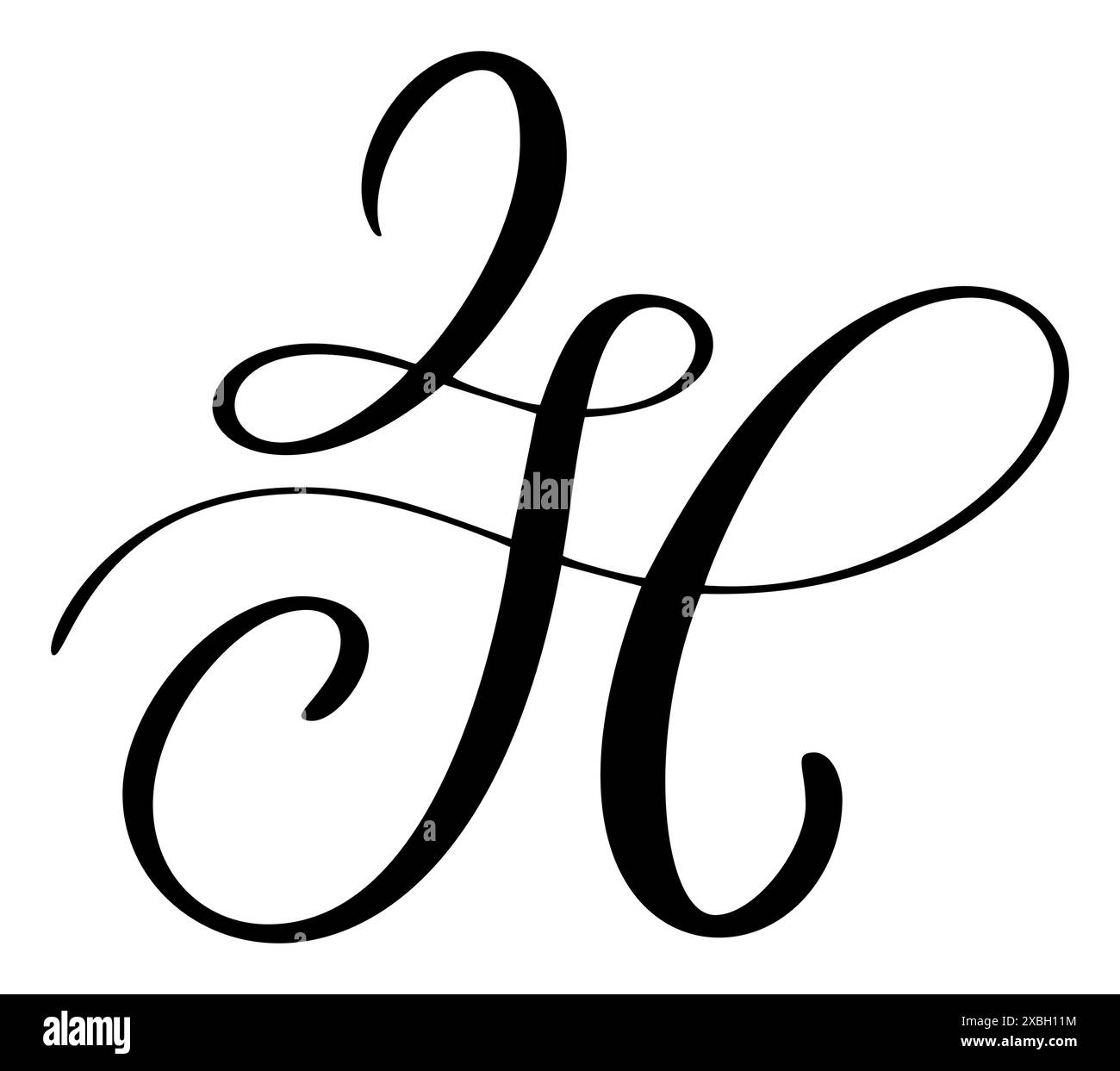 Vector calligraphy hand drawn capital letter h logo script font