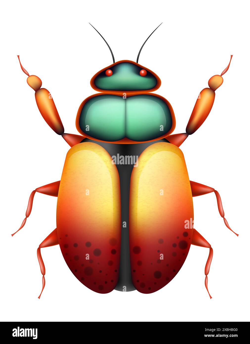 bug insects wildlife animals vector illustration isolated on white ...