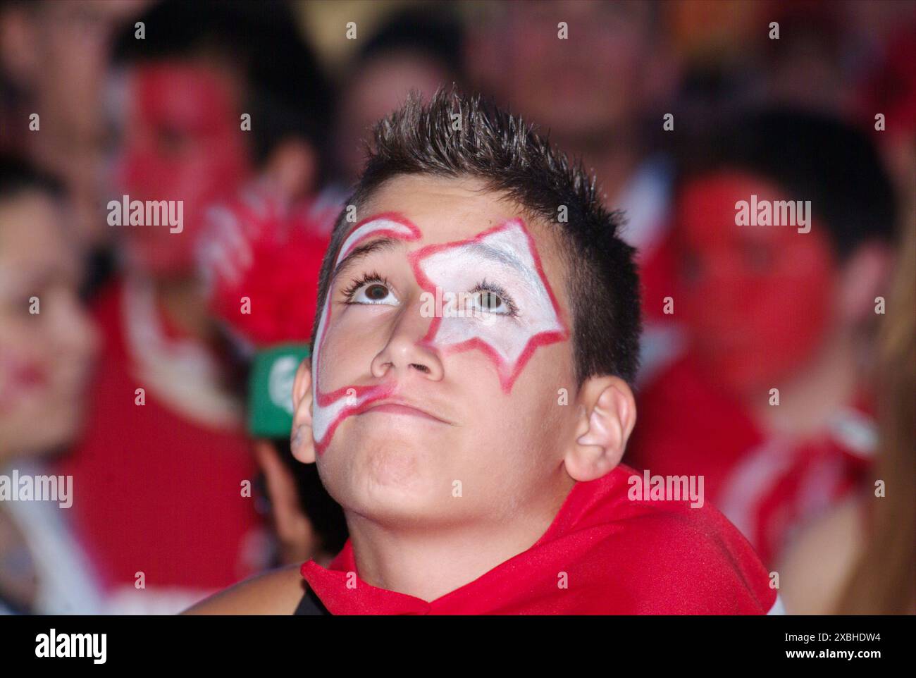 Vienna, Austria. June 21, 2008. The 13th European Football Championship (officially UEFA EURO 2008) was held from 7 to 29 June 2008 in Austria and Switzerland. Public viewing in Vienna at Rathausplatz with supporters of the Turkish national team Stock Photo