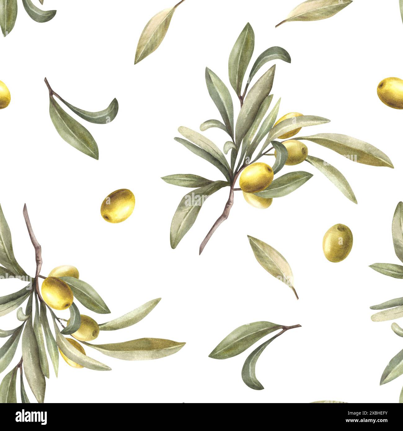 Watercolor olive tree branch with green leaves and berries seamless ...
