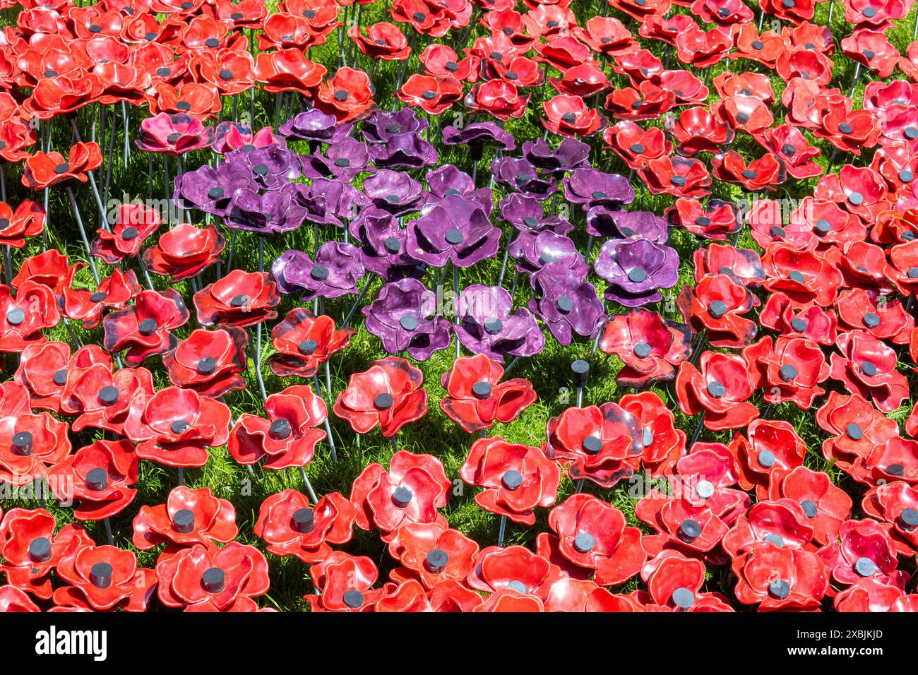 Pottery remembrance poppies Stock Photo