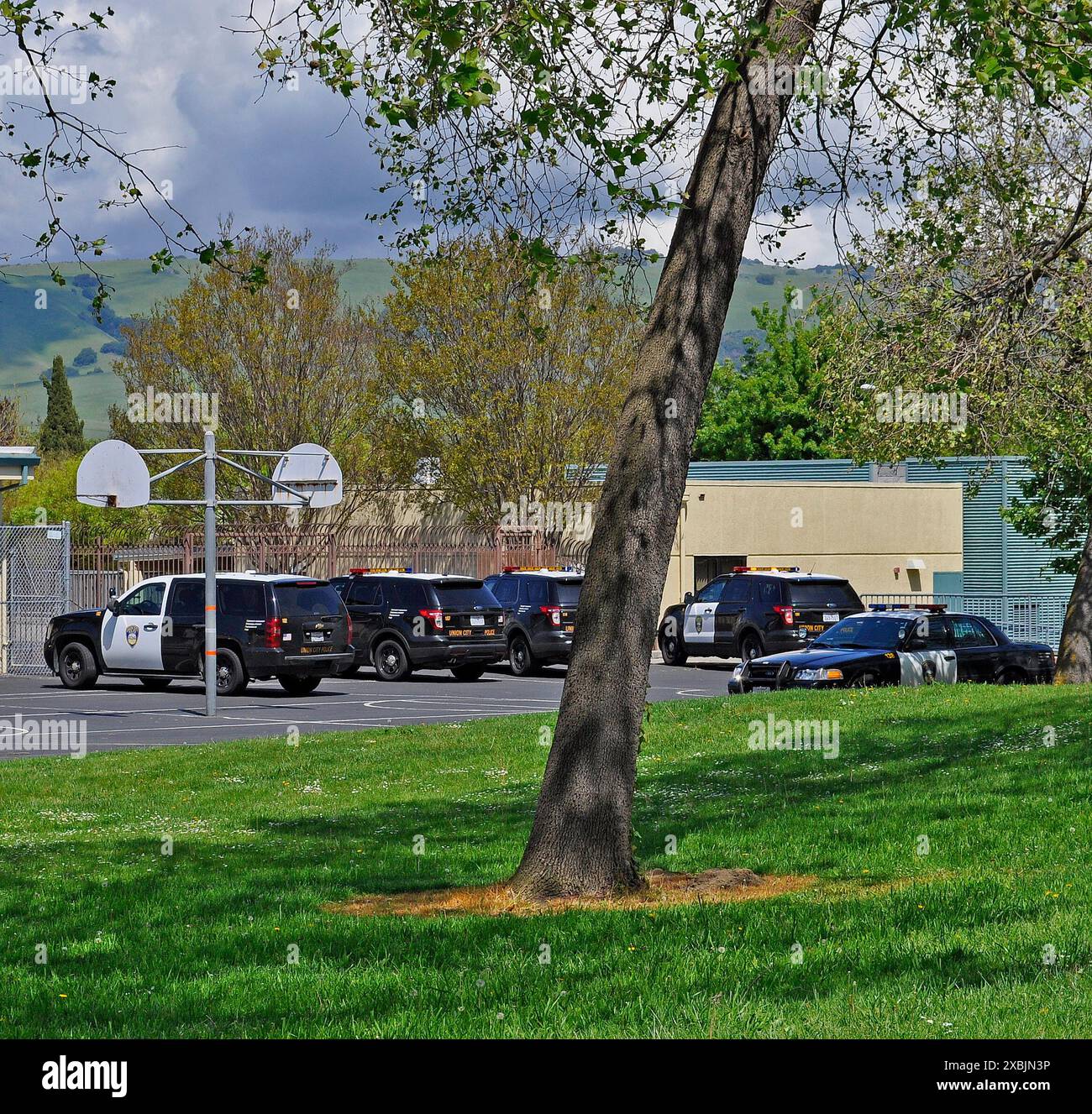 Union City police vehicles at the Caesar Chavez Middle School in Union
