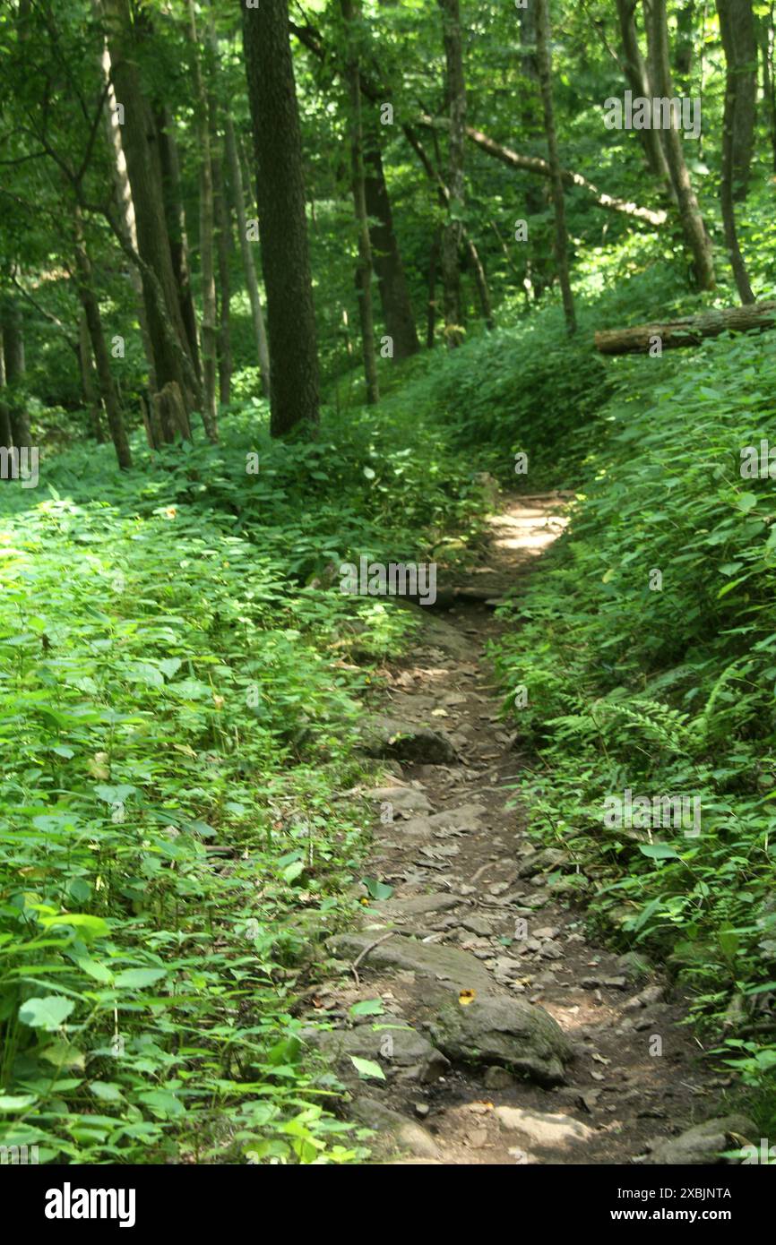 Narrow Ridge Path Pathway on mountain ridge hi-res stock photography and images - Alamy