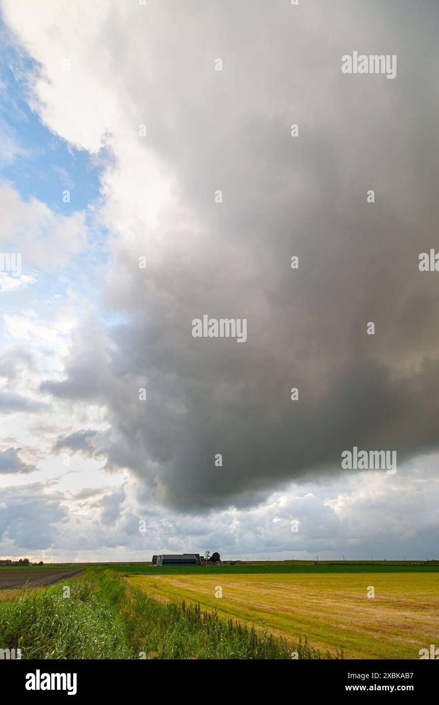 Strong Updraft Strong updraft of a Cumulonimbus storm cloud over wide open farm land ...