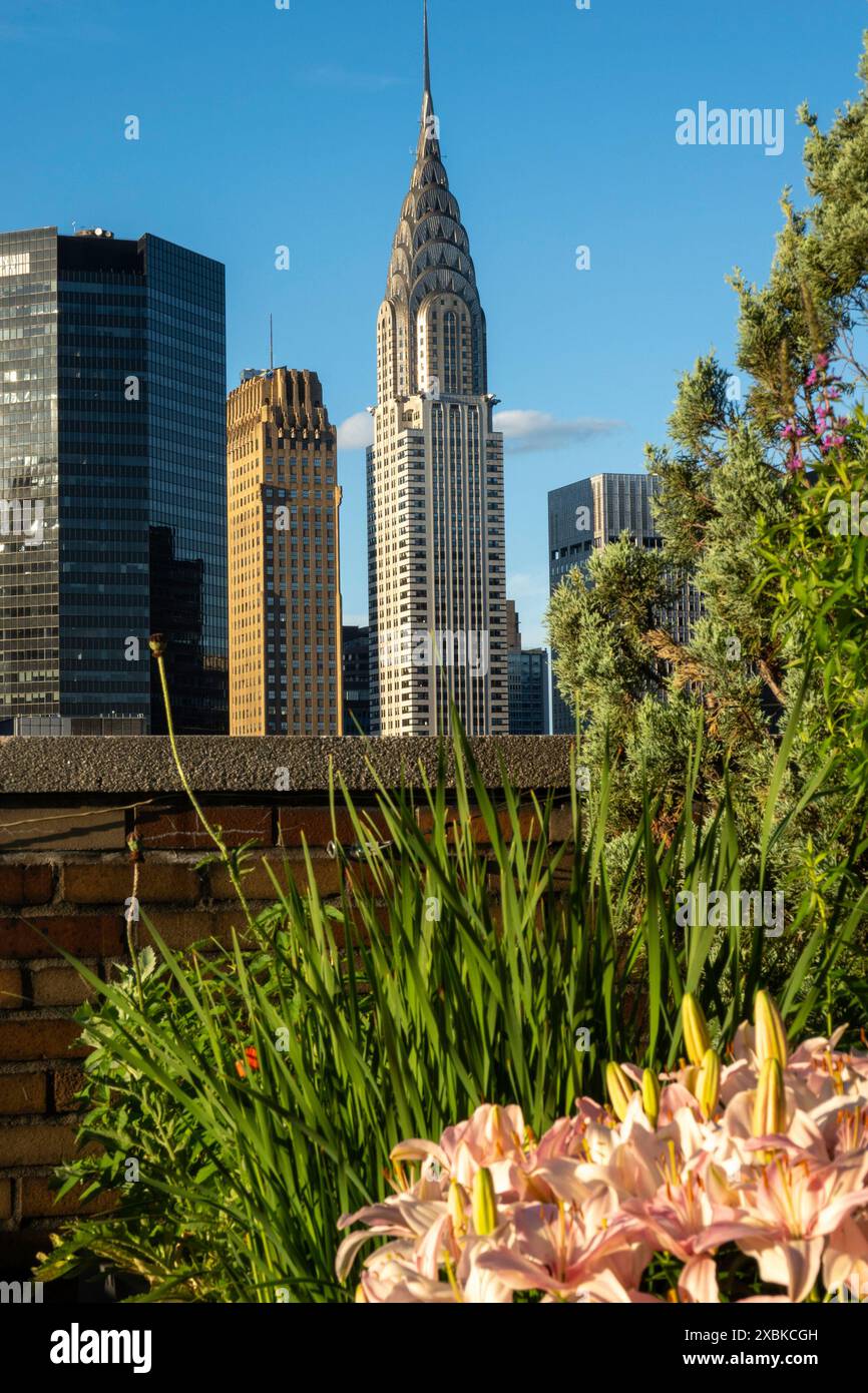 Rooftop Garden with Skyline in Background, NYC, USA, 2024 Stock Photo