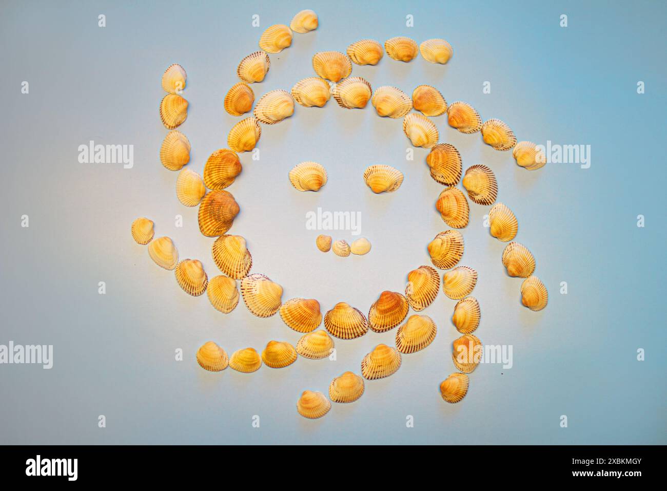 Smiling sun made of seashells Stock Photo