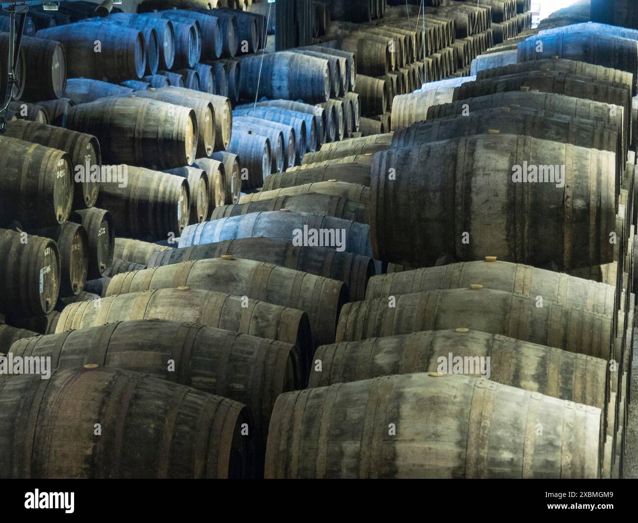 Rows large wooden barrels hi-res stock photography and images - Alamy