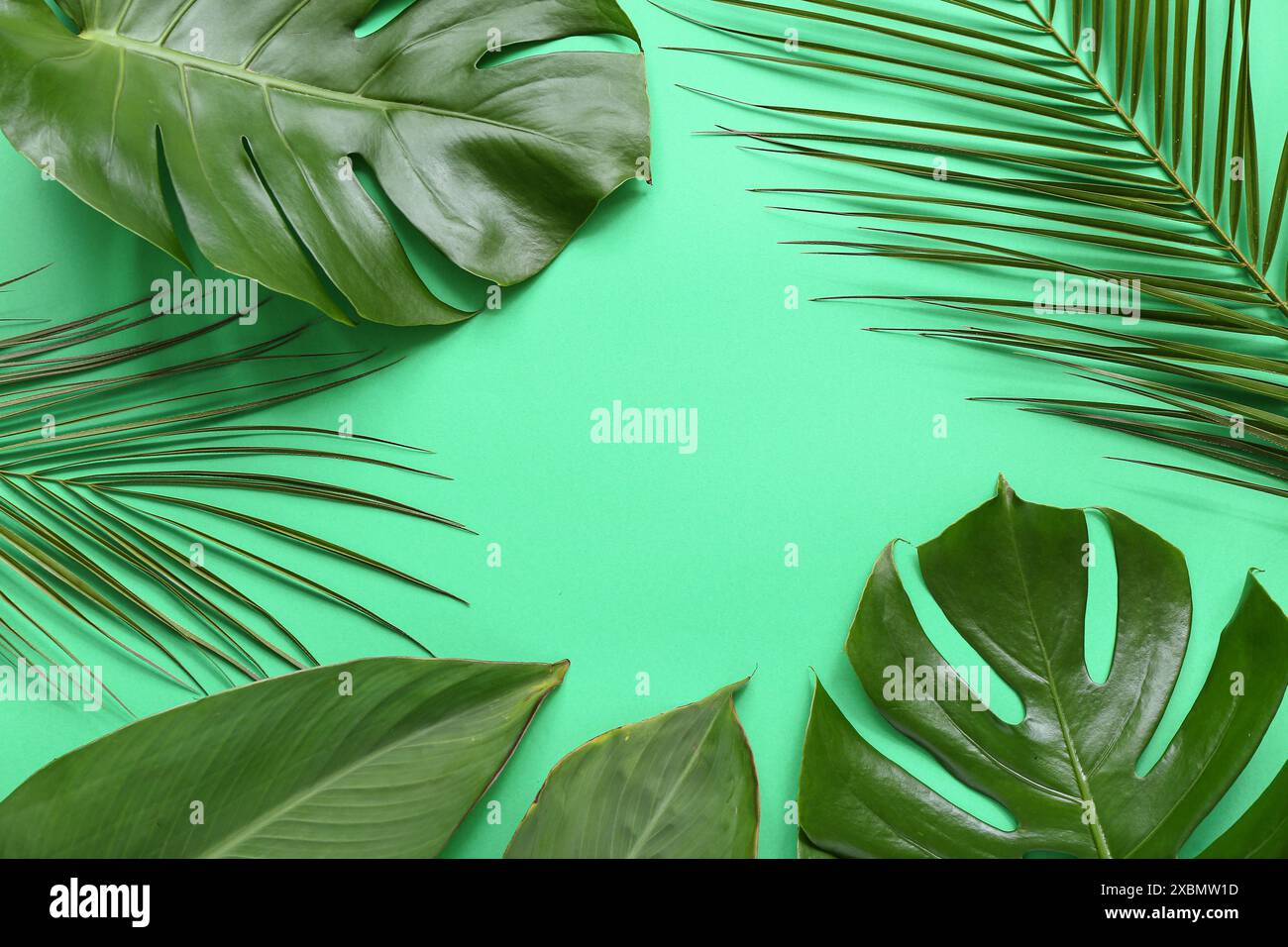 Frame made of different tropical leaves on green background Stock Photo ...