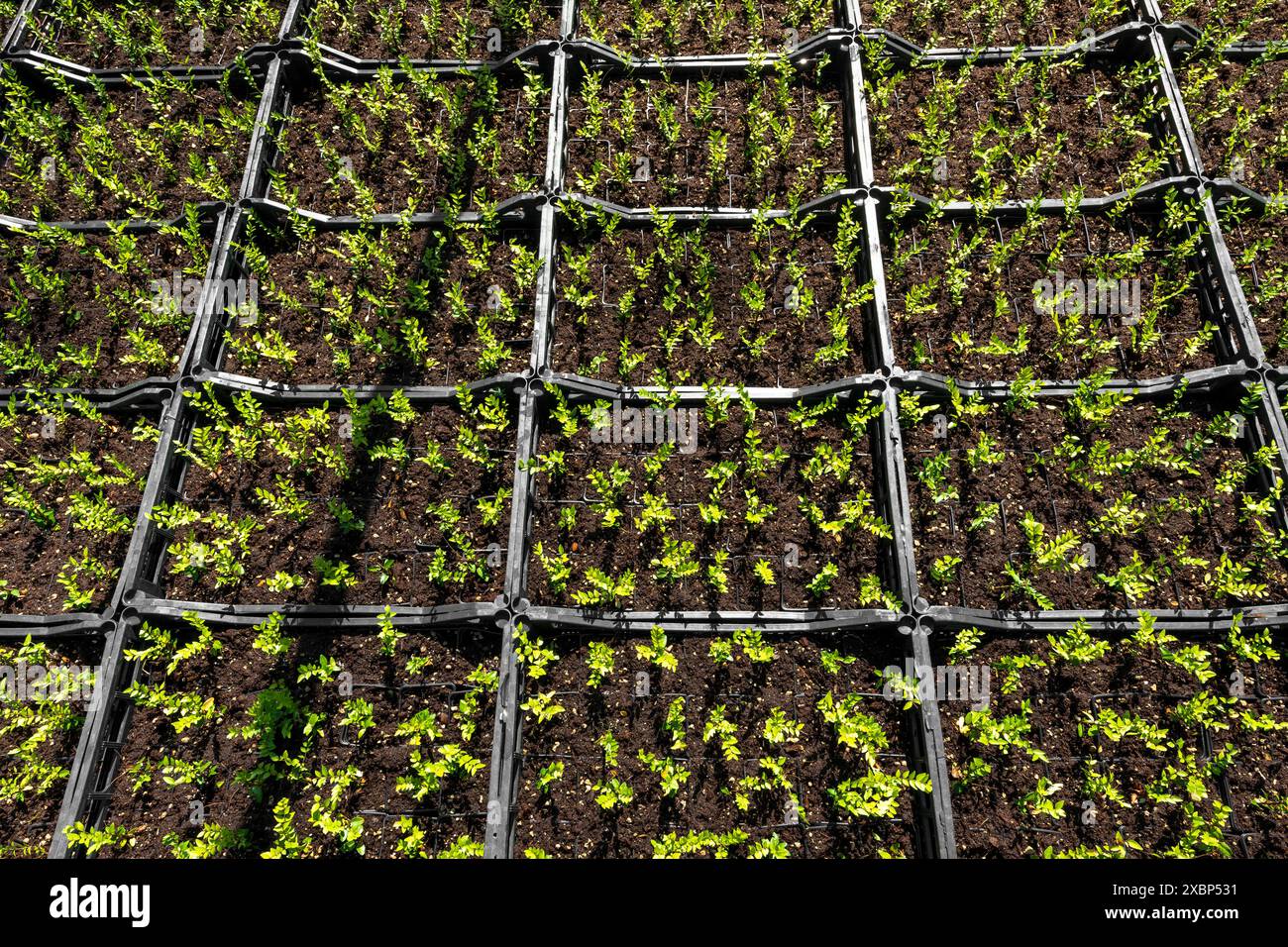 Cultivation of soil hi-res stock photography and images - Alamy