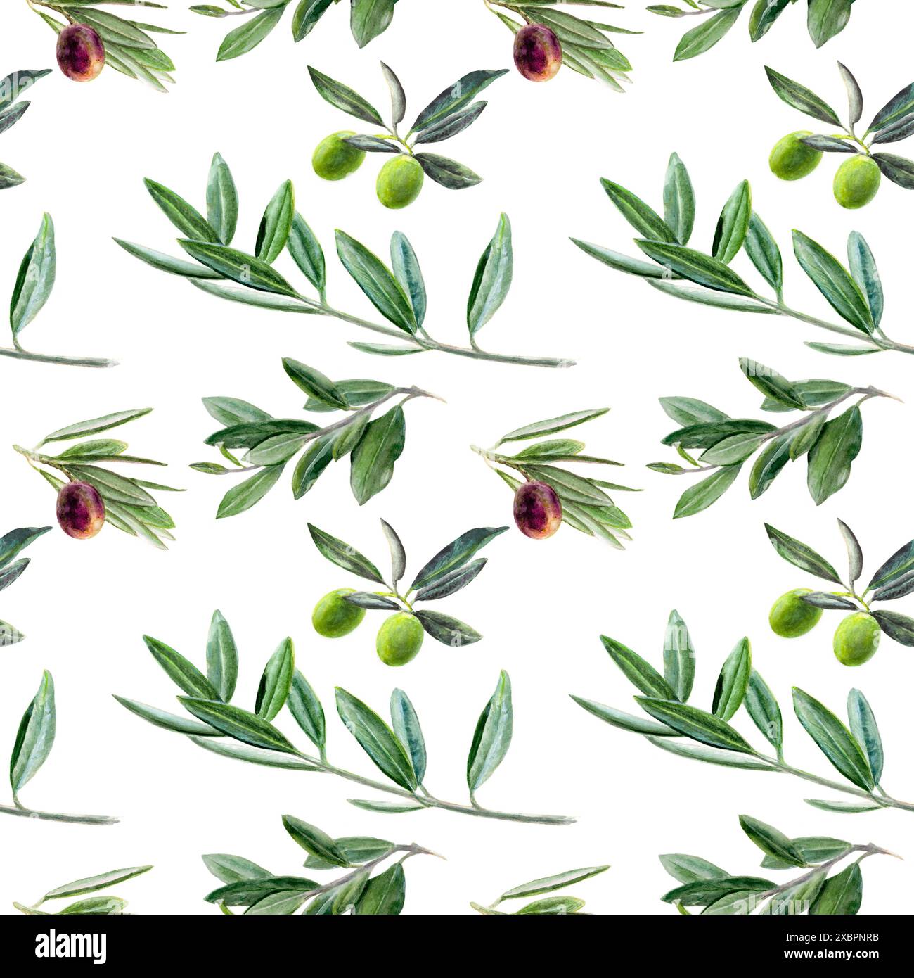 Watercolor Olives Branch Pattern with Seamless Green and Black Leaves ...