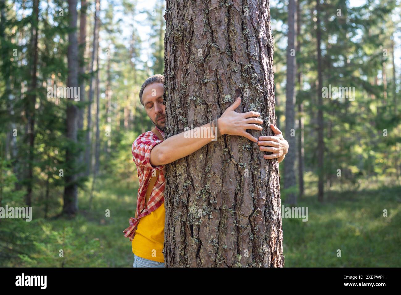 Man hands hugging large tree in park. People feel energy of nature ...