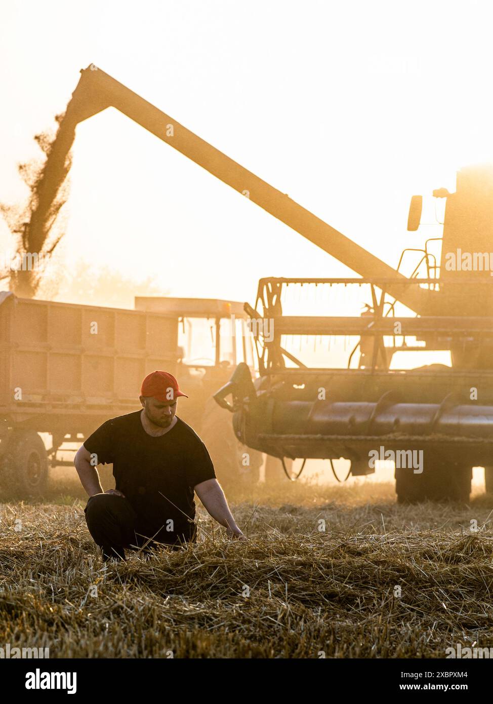 Satisfied farmer standing by harvester Stock Photo