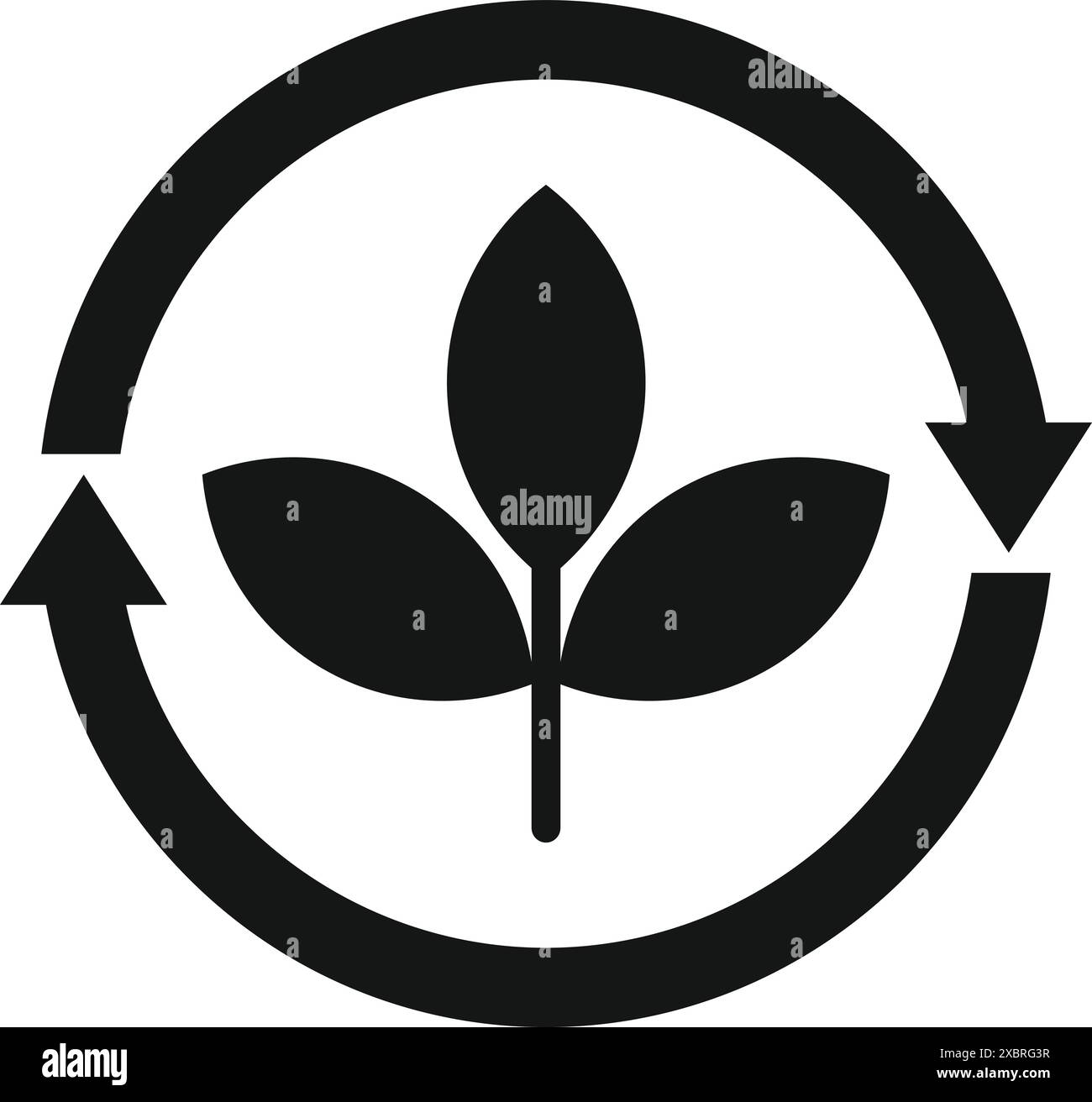 Circular economy is being represented by a growing plant inside a