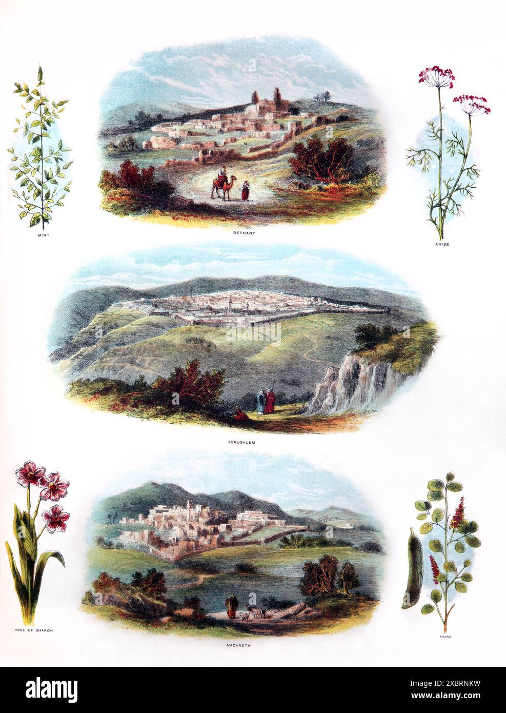 Illustrations of Biblical Places Bethany, Jerusalem and Nazareth from Antique 19th Century Brown's Self-Interpreting Family Bible Stock Photo