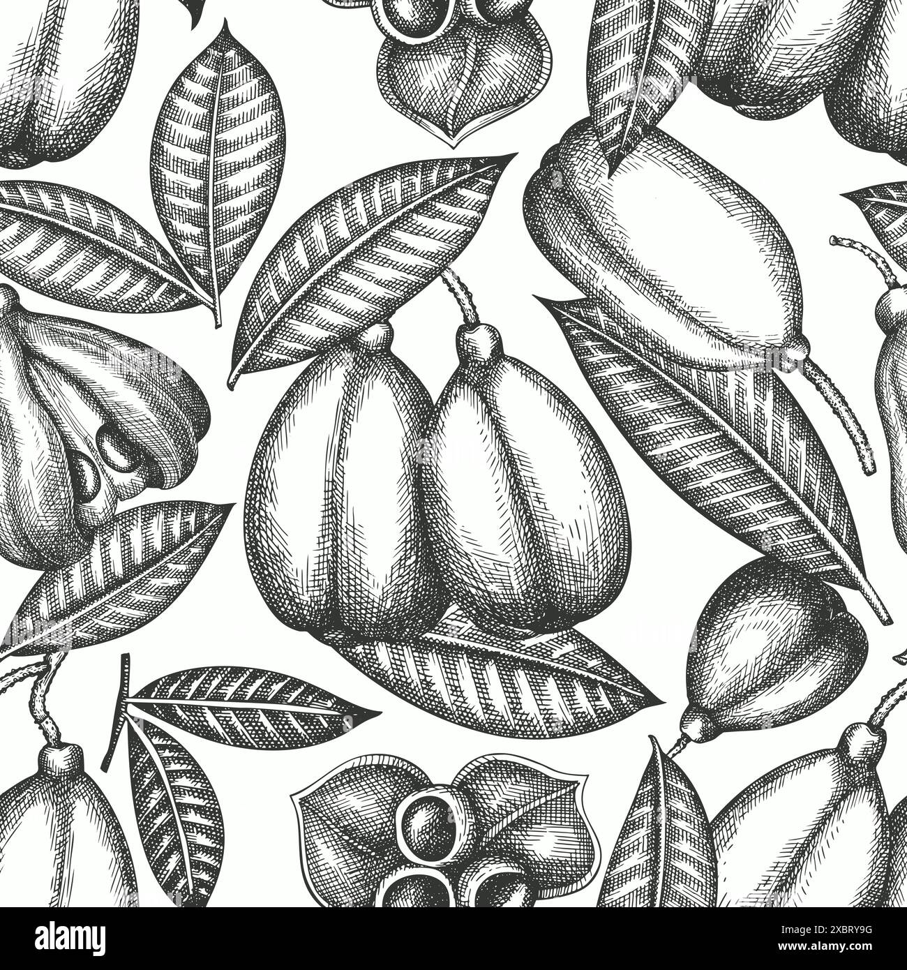 Hand drawn sketch style ackee seamless pattern. Organic fresh food ...
