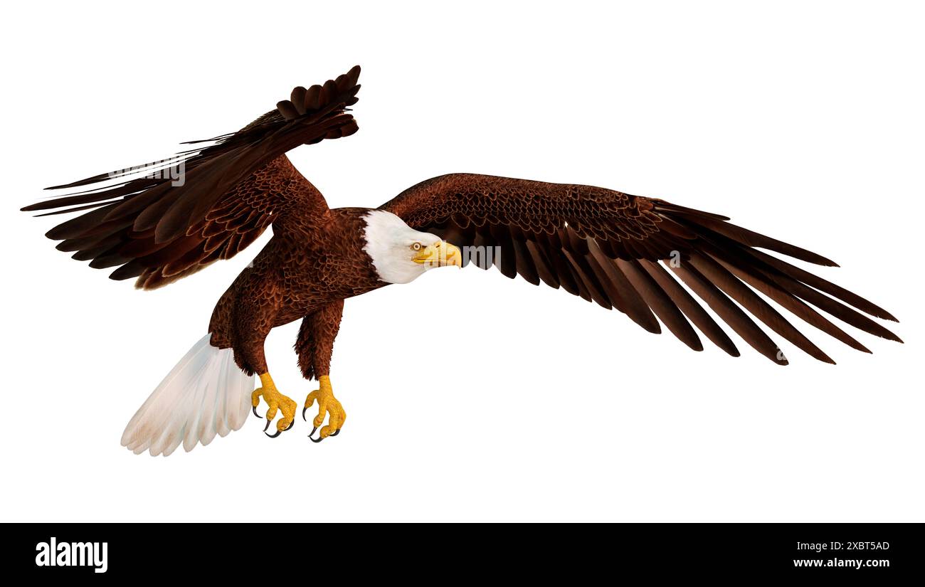 3D rendering of a bald eagle isolated on white background Stock Photo ...