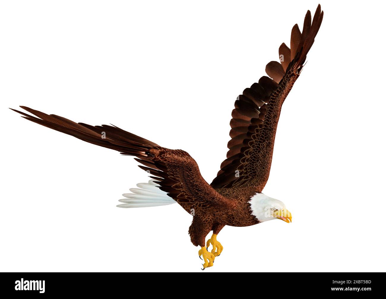 3D rendering of a bald eagle isolated on white background Stock Photo ...