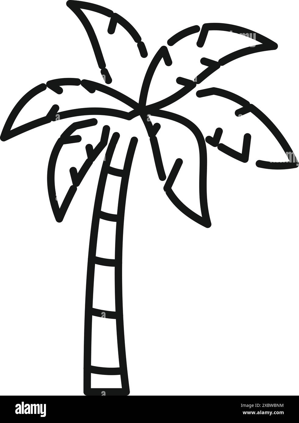 Elegant palm tree Black and White Stock Photos & Images - Alamy