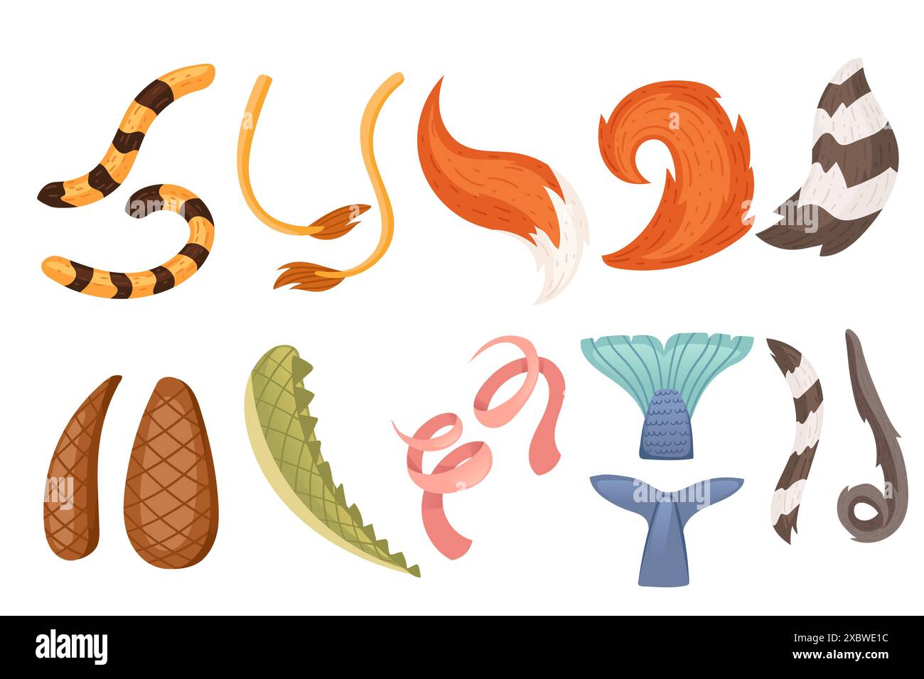 Types Of Tails Collection of animal tails simple cartoon style design vector ...