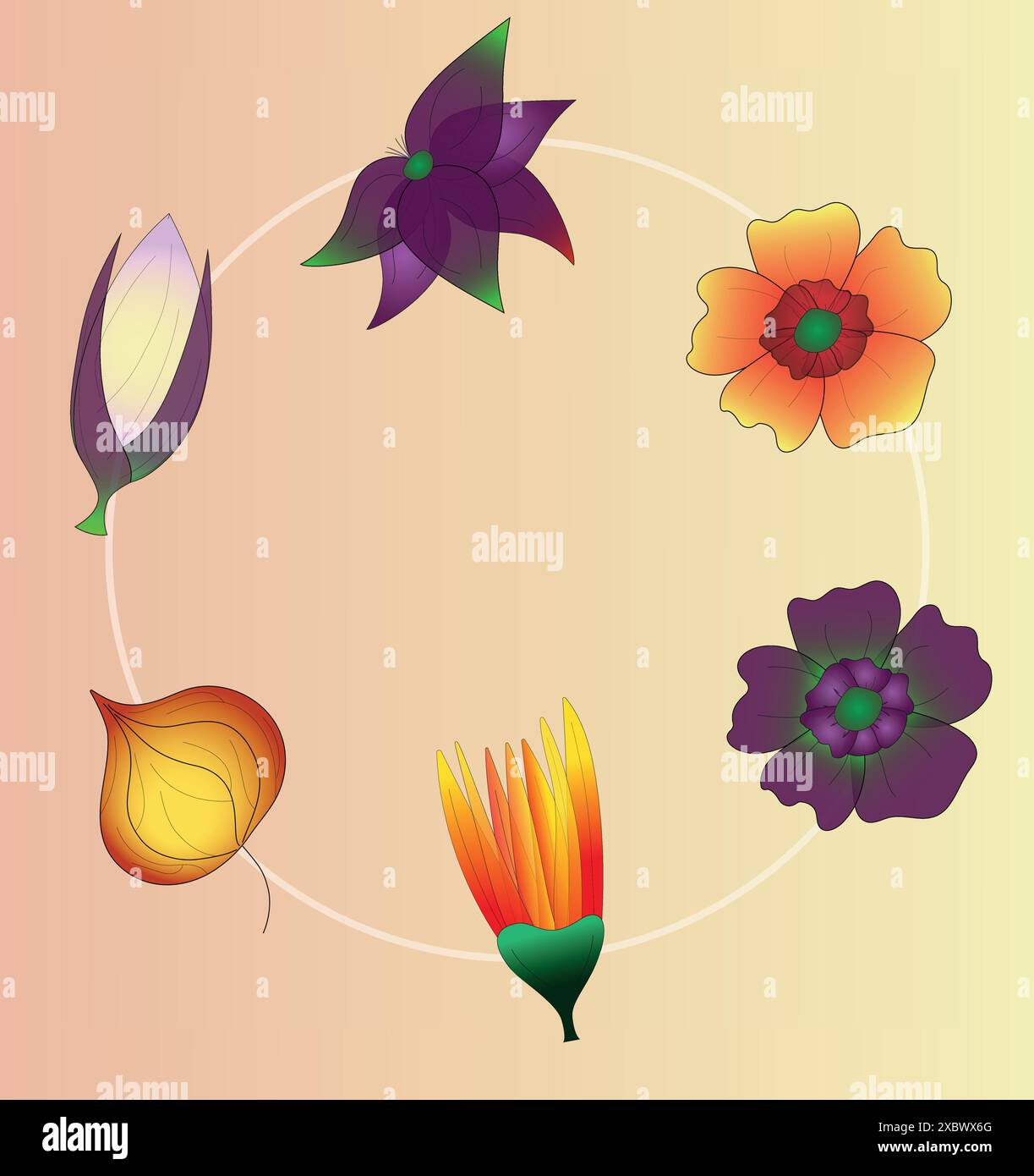 White flowers red buds Stock Vector Images - Alamy